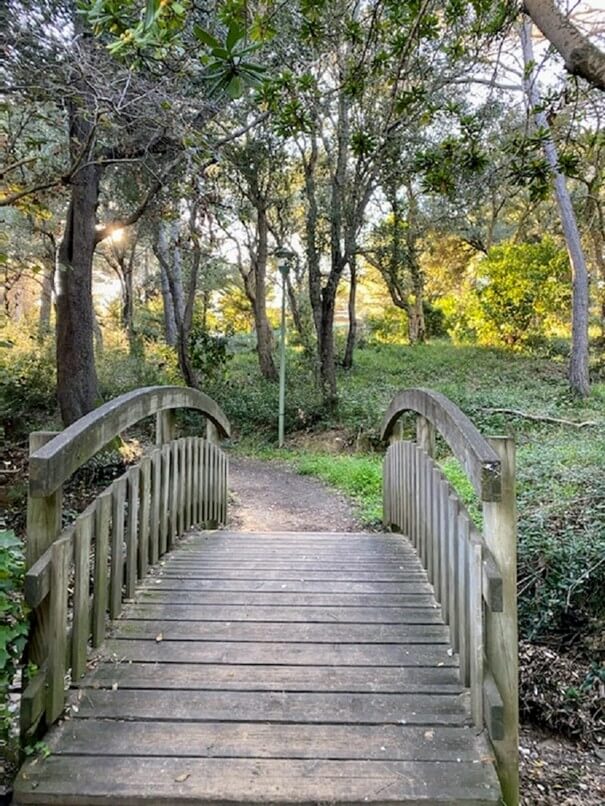 Pont accès plage